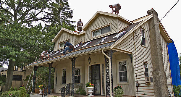 Professional Roofing Contractor in Palmview South, TX